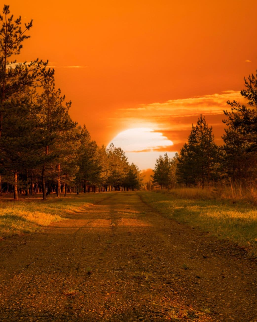 How Common Is Leader Burnout—and What Does It Really Cost Your Company?